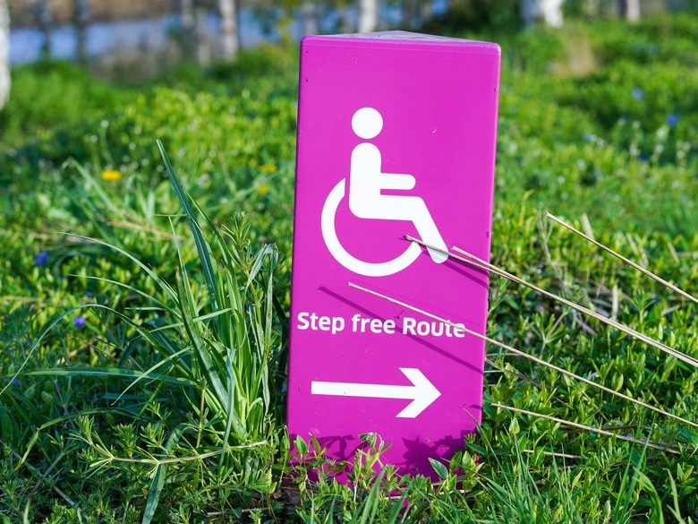 Auf einer Wiese ist ein rosa Schild platziert, auf welchem in weißer Schrift ein Rollstuhlfahrer:innen-Symbol, ein Pfeil und ein Schriftzug mit der Aussage "Step free Route" zu sehen ist.